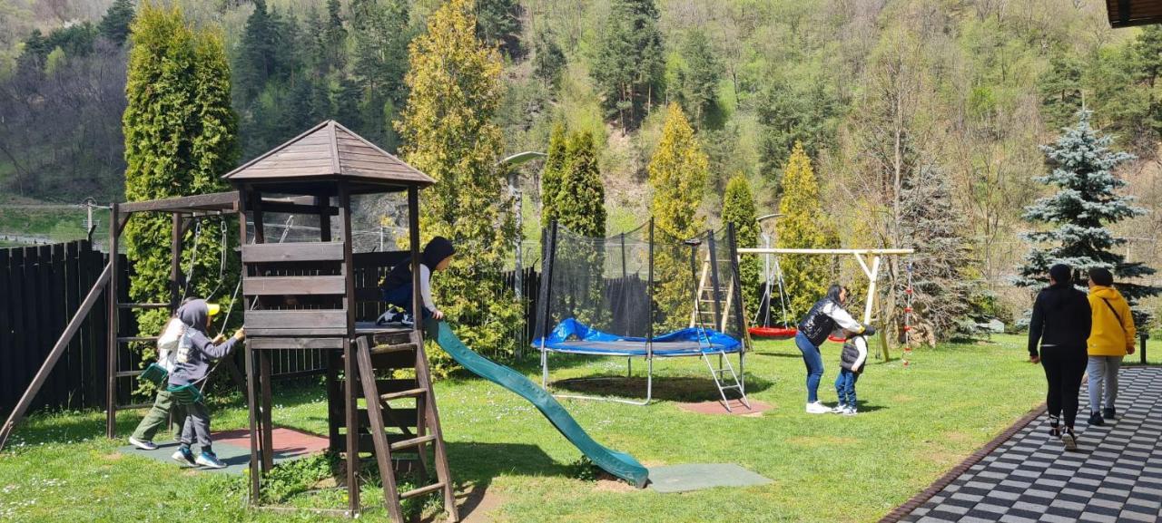 Pensiunea Rau Sadului Екстериор снимка